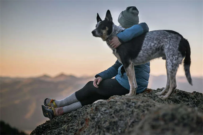 Heartworm Prevention for Dogs: 5 Must-Know Facts to Protect Your Pet